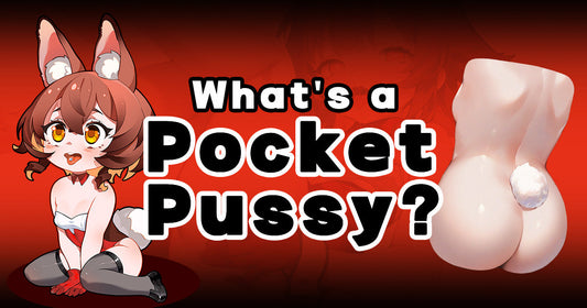 What Is A Pocket Pussy